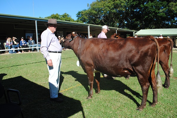 Maleny 2018 Class 4