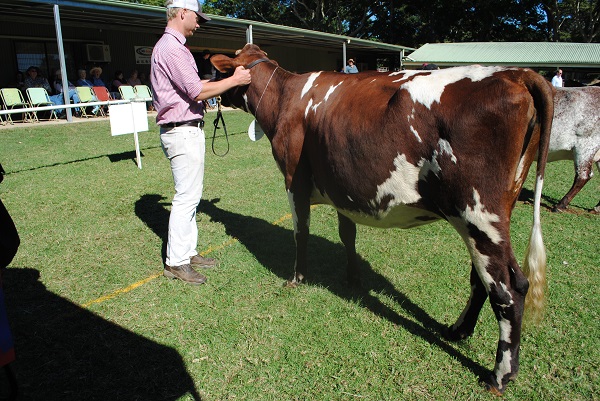 Maleny 2018 Class 9