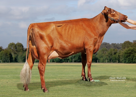 Mt Pleasant 2014 Jnr Champ lr