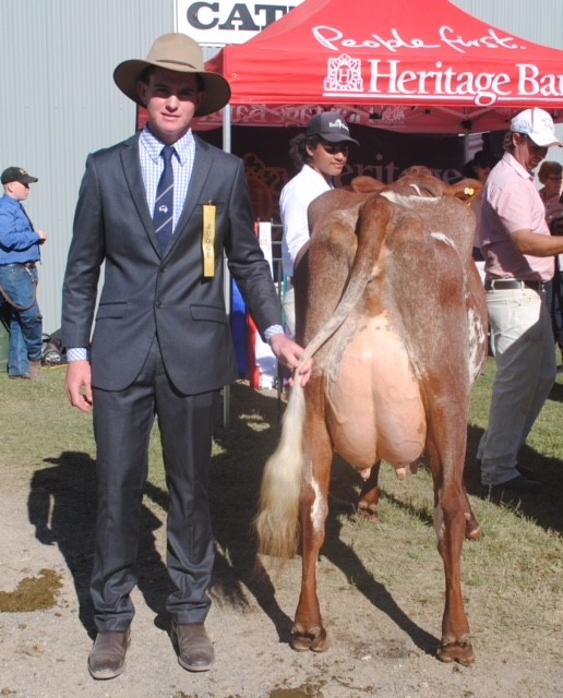 Nambour 18 Best Udder
