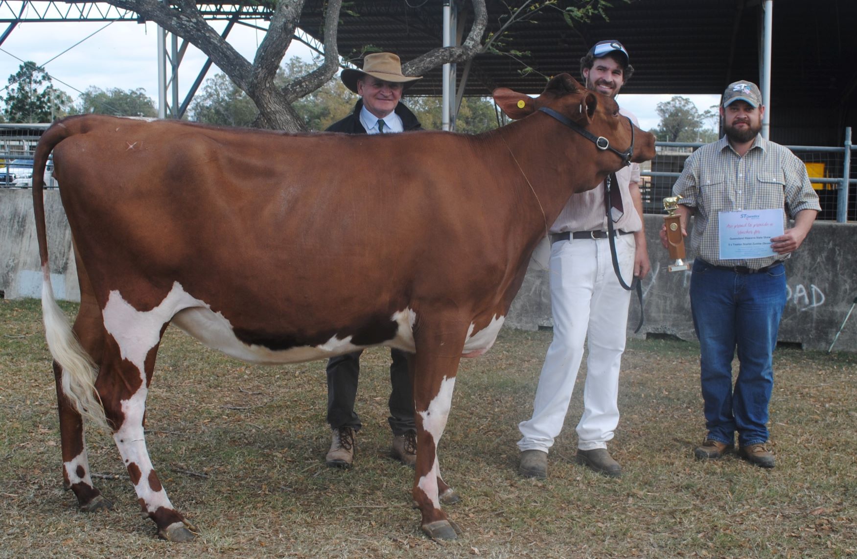 QISS Juvenile Champion