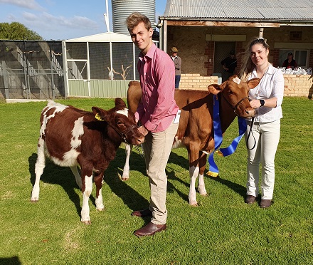 SA Calf Day 19 Jnr Champ Snr Champ