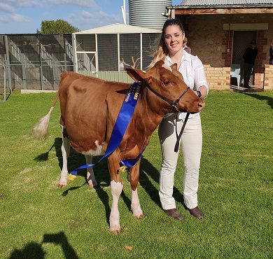 SA Calf Day 19 Sup Champ Champ Handler