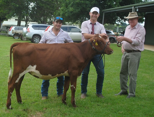 Maleny Calf 19 Snr Champ
