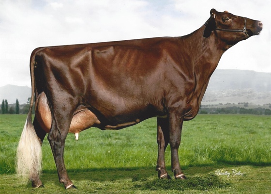 Storman Butler Jean lr