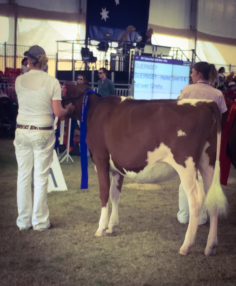 Sydney 2017 Junior Supreme Champ