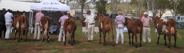 Toow 19 Class 7 Intermed udder