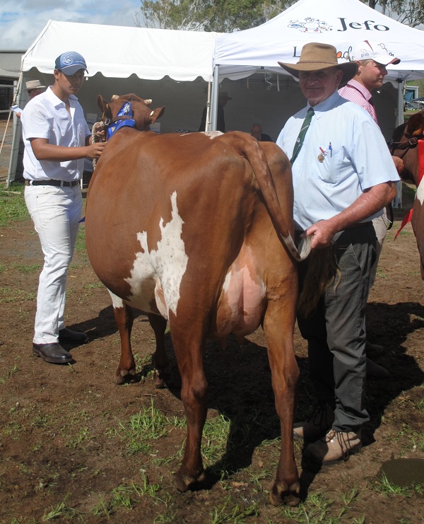 Toow 19 Intermediate Udder
