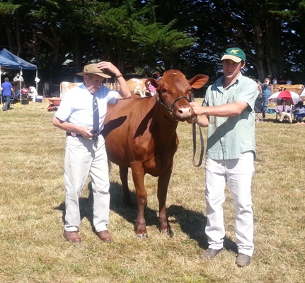 Tas Calf Day 2013
