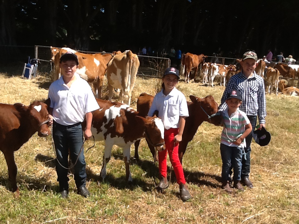 Tas Calf Day 2015