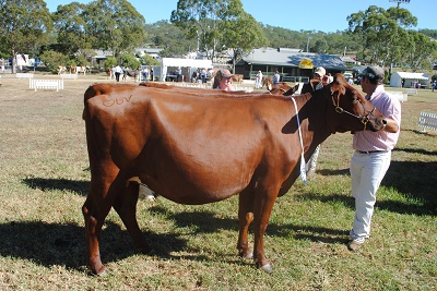 Toow 18 Class 4