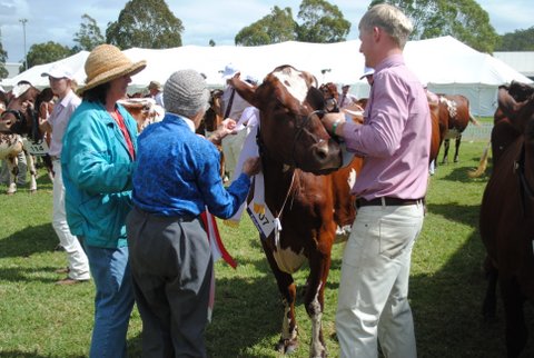 Toow Show Group of Five presentation