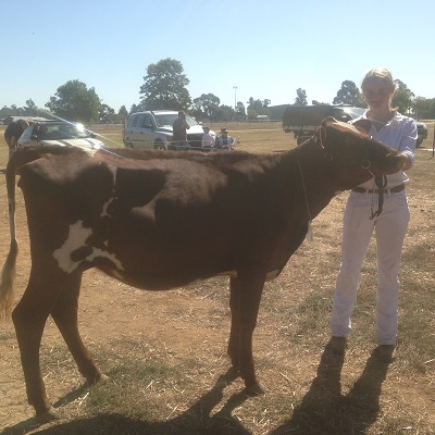 Vic Calf Day 16 L J Lorna lr