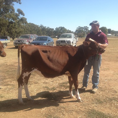Vic Calf Day 16 L J Pride lr