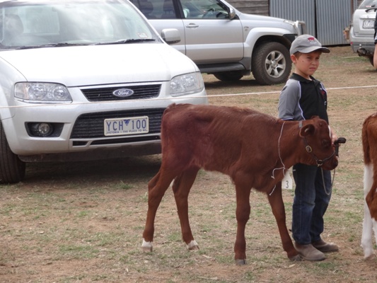Vic Calf Day Junior Leader Darby McClaren lr