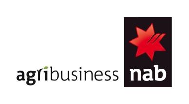 Vic sponsor NAB