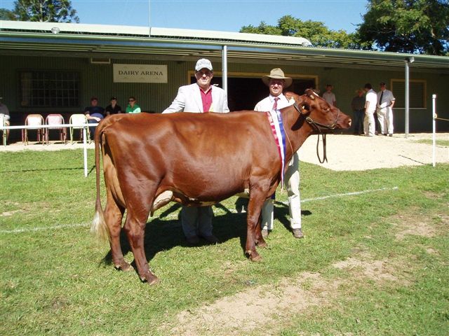 Rosedale_Bygold_Belle_lr