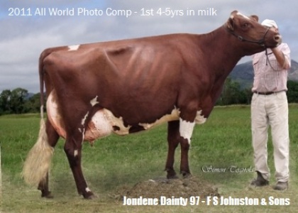 Jondene_Dainty_97_2010_website_banner